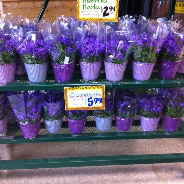 Trader Joe's乔氏连锁内珀维尔店 伊利诺州苏黎世湖第22号公路735号