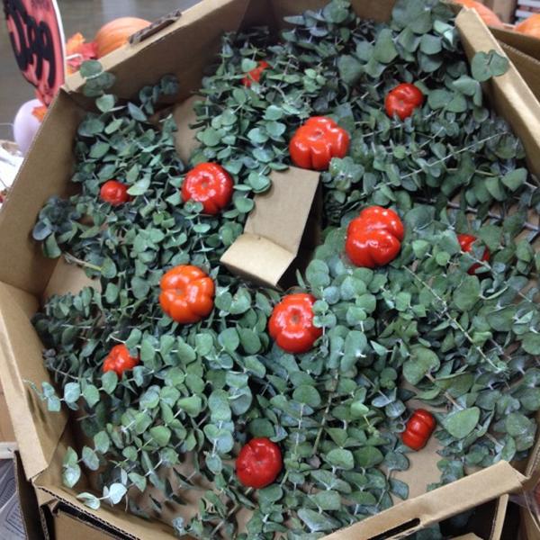 Photo taken at Trader Joe's by Yoko M. on 10/24/2012