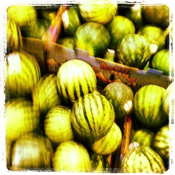Photo taken at Trader Joe's by Kouros M. on 7/30/2012