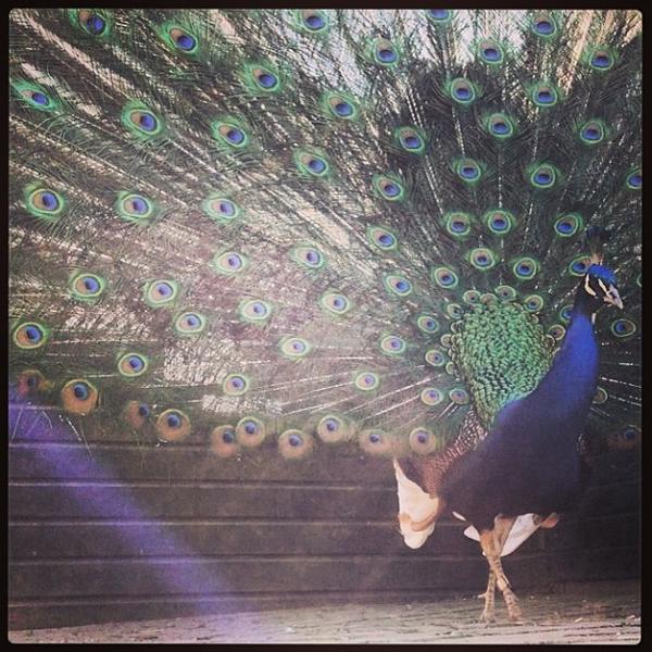 Photo taken at Beeckestijn by Martin N. on 5/1/2013-荷兰北荷兰省费尔森瑞杰克斯路134号 Photo taken at Beeckestijn by Martin N. on 5/1/2013