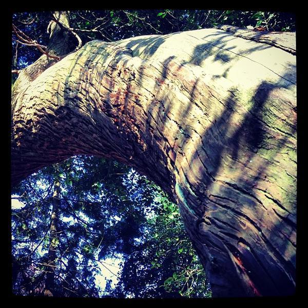 Photo taken at Beeckestijn by Martin N. on 5/1/2013-荷兰北荷兰省费尔森瑞杰克斯路134号 Photo taken at Beeckestijn by Martin N. on 5/1/2013