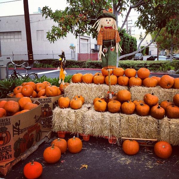 Photo taken at Trader Joe's by Jamison N. on 10/9/2012