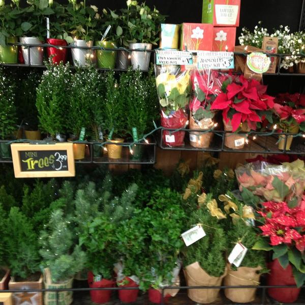 Photo taken at Trader Joe's by Roselle D. on 12/10/2013