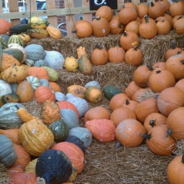 Photo taken at Trader Joe's by Kelly H. on 9/28/2011