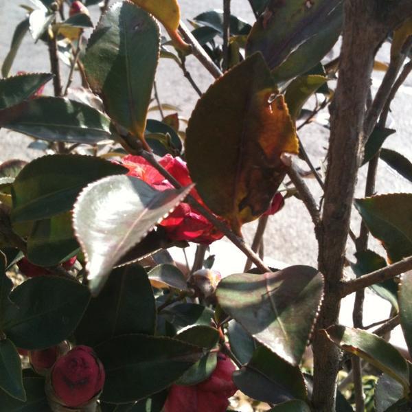 Photo taken at 홈플러스 (Home plus) by Eonju L. on 2/11/2013