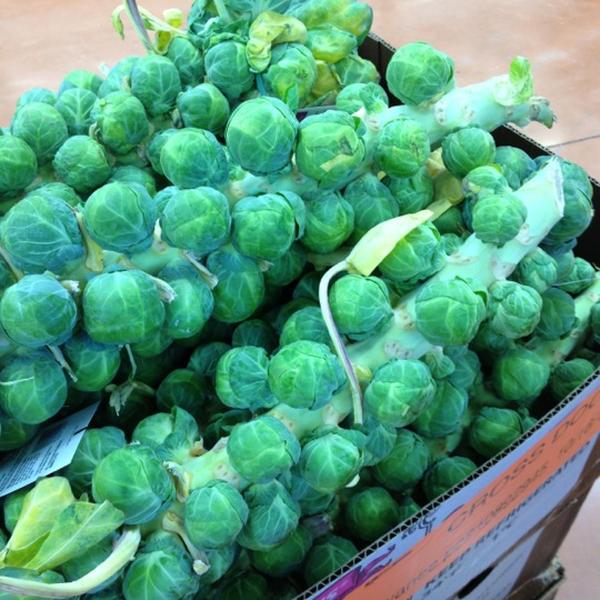 Photo taken at Trader Joe's by Judy Goby O. on 10/22/2012