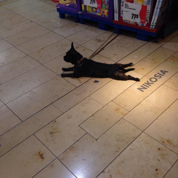 Photo taken at REWE City by Анастасия Ч. on 11/12/2013-德国汉堡市柏林达姆40 Photo taken at REWE City by Анастасия Ч. on 11/12/2013