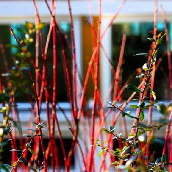 Photo taken at REWE City by Asif H. on 10/25/2013-德国汉堡市柏林达姆40 Photo taken at REWE City by Asif H. on 10/25/2013