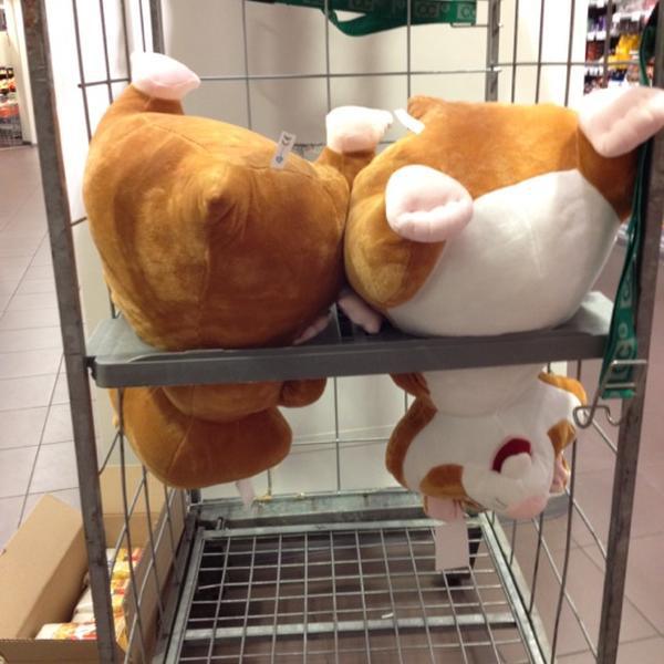 Photo taken at Albert Heijn by Carlos T. on 9/6/2012