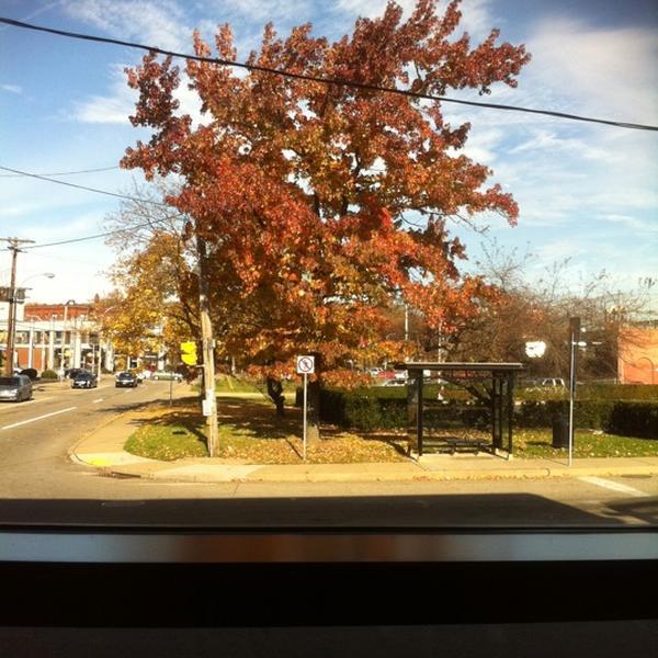 Photo taken at Whole Foods Market by John M. on 11/9/2011