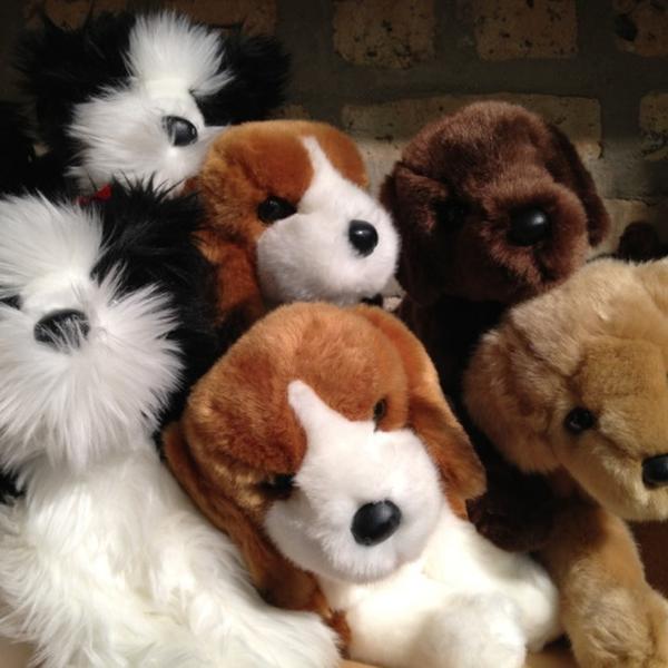 Photo taken at Whole Foods Market by Brian H. on 9/20/2012-伊利诺 埃文斯顿芝加哥大道1111(在绿叶街) Photo taken at Whole Foods Market by Brian H. on 9/20/2012