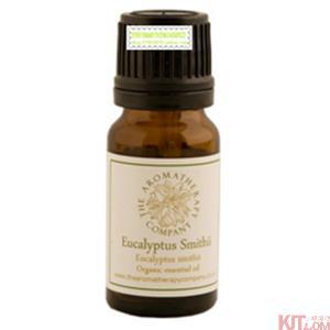 英国进口尤加利精油-芳香疗法 史密斯尤加利精油