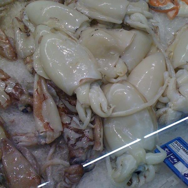 Photo taken at Coop by Danilo M. on 10/11/2012-意大利艾米利亚-罗马涅博洛尼亚共和大道 Photo taken at Coop by Danilo M. on 10/11/2012