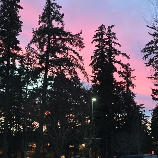 Photo taken at Whole Foods Market by Amanda S. on 1/9/2015