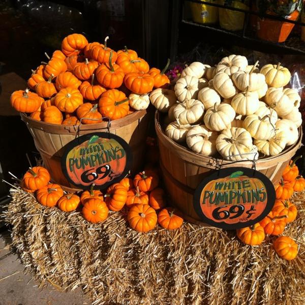 Photo taken at Trader Joe's by Ed M. on 10/6/2012-美国新泽西州米尔本广场187 Photo taken at Trader Joe's by Ed M. on 10/6/2012