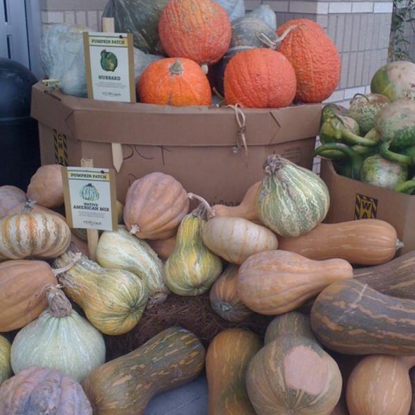 Photo taken at Whole Foods Market by La Popular T. on 9/15/2011