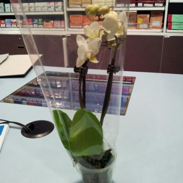 Photo taken at Albert Heijn by Krisje M. on 11/9/2012