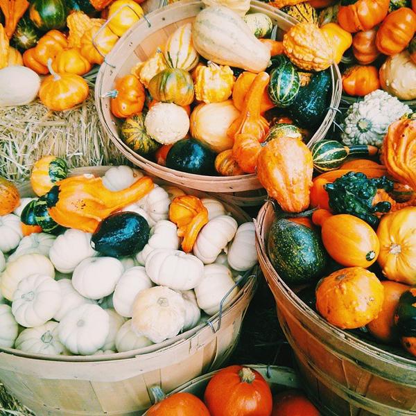 Photo taken at Whole Foods Market by Melissa L. on 10/12/2014