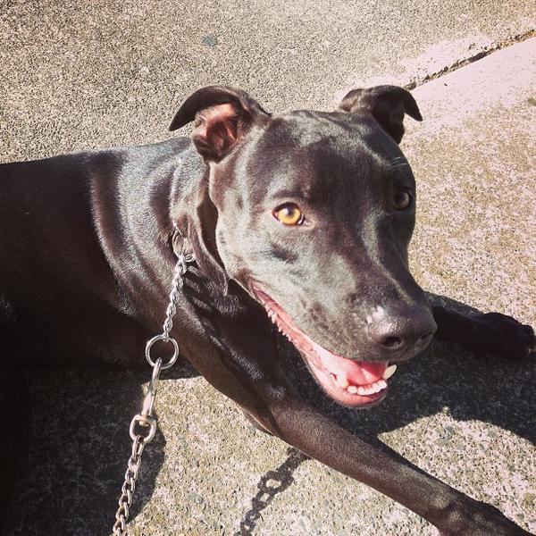 Photo taken at New World by Jay H. on 4/1/2013