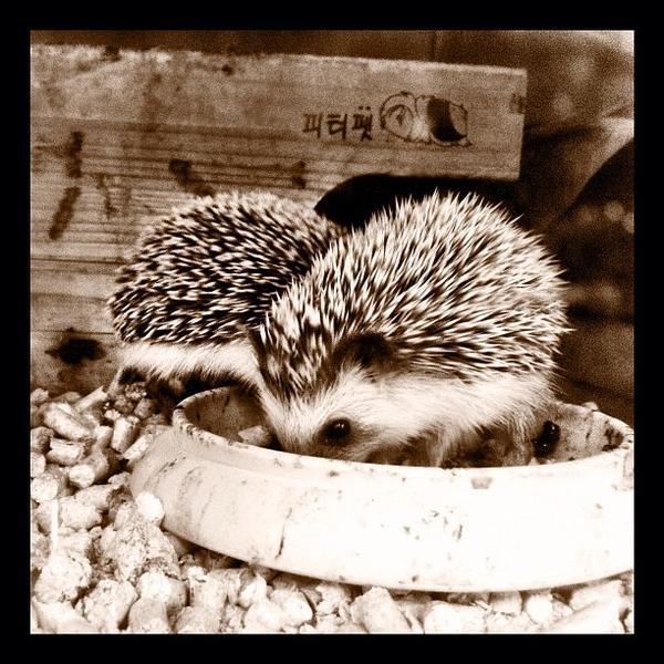 Photo taken at 홈플러스 (Home plus) by Nam T. on 5/14/2012-庆尚北道浦项77 Photo taken at 홈플러스 (Home plus) by Nam T. on 5/14/2012