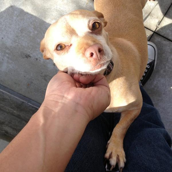 Photo taken at Whole Foods Market by Jay L. on 3/25/2013