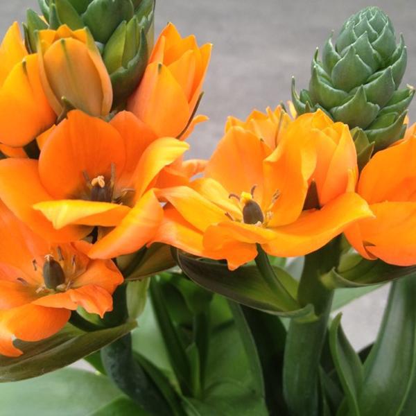 Photo taken at Trader Joe's by Jennifer B. on 3/17/2012-美国威斯康辛州格伦代尔华盛顿港路北5600 Photo taken at Trader Joe's by Jennifer B. on 3/17/2012