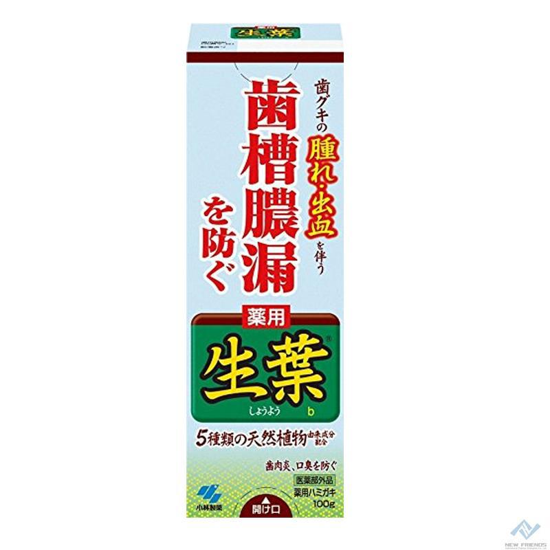 【新佰朋】生叶牙膏预防牙龈红肿牙膏 100g