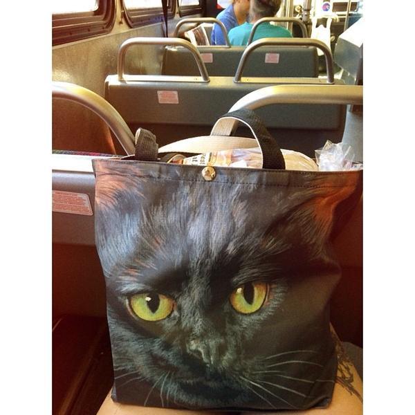 Photo taken at Trader Joe's by Rachel M. on 6/29/2014