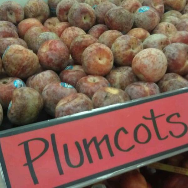 Photo taken at Trader Joe's by Allison C. on 8/16/2012-美国马萨诸塞州弗雷明汉伍斯特路659 Photo taken at Trader Joe's by Allison C. on 8/16/2012