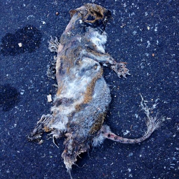 Photo taken at Trader Joe's by Trad'r Don on 9/27/2013