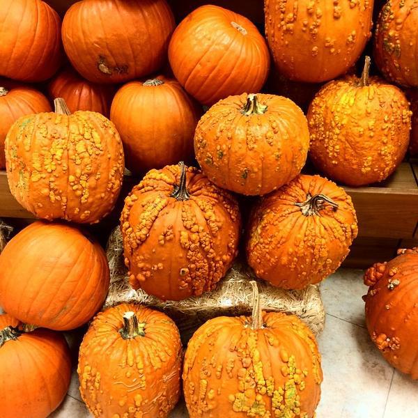 Photo taken at Trader Joe's by Jaimie B. on 10/18/2014-美国加利福尼亚州洛杉矶日落大道西8000 Photo taken at Trader Joe's by Jaimie B. on 10/18/2014