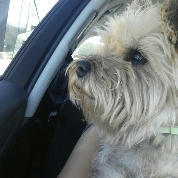 Photo taken at Tokmanni by Ella J. on 6/8/2015