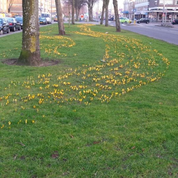 Photo taken at Albert Heijn by Monika G. on 2/15/2015