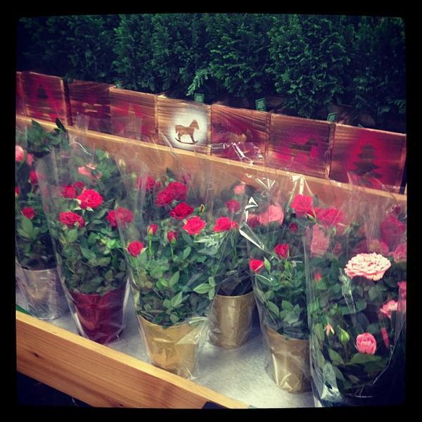 Photo taken at Trader Joe's by Kris