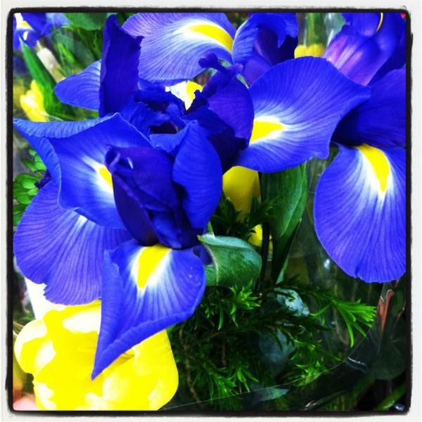 Photo taken at Trader Joe's by T.C. on 4/9/2013