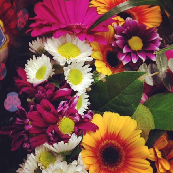 Photo taken at Trader Joe's by Kahuna Matata on 3/8/2015