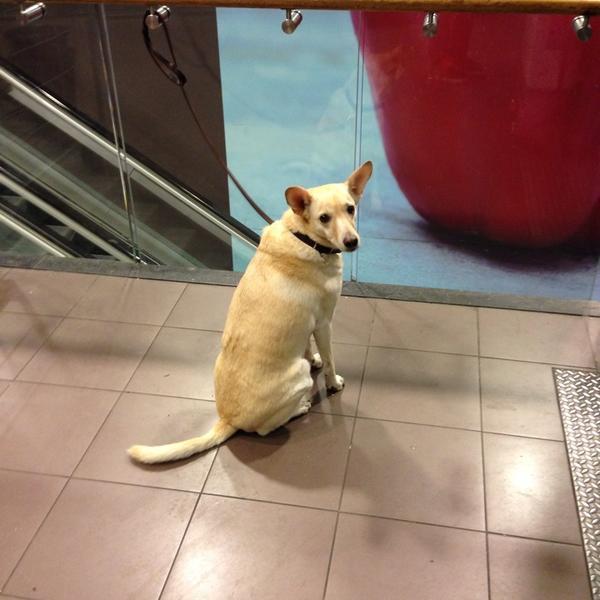 Photo taken at Albert Heijn by MK on 11/7/2014-荷兰北荷兰省阿姆斯特丹范巴尔勒街33a Photo taken at Albert Heijn by MK on 11/7/2014