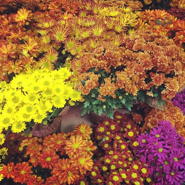 Photo taken at Trader Joe's by gno m. on 9/14/2014-美国加利福尼亚州长滩太平洋海岸高速公路东6451 Photo taken at Trader Joe's by gno m. on 9/14/2014