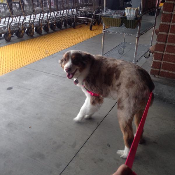 Photo taken at Whole Foods Market by Sara R. on 1/26/2015-加利福尼亚州塞普尔维达大道4520号 Photo taken at Whole Foods Market by Sara R. on 1/26/2015