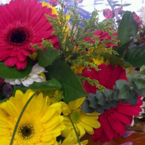 Photo taken at Trader Joe's by Kristyn S. on 1/29/2012