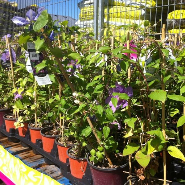 Photo taken at Loblaws by Sean C. on 5/21/2012