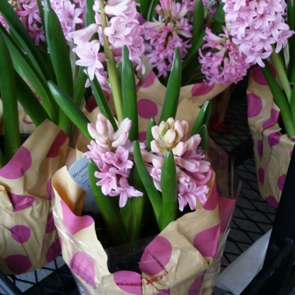 Photo taken at Trader Joe's by Gloria Z. on 5/9/2014