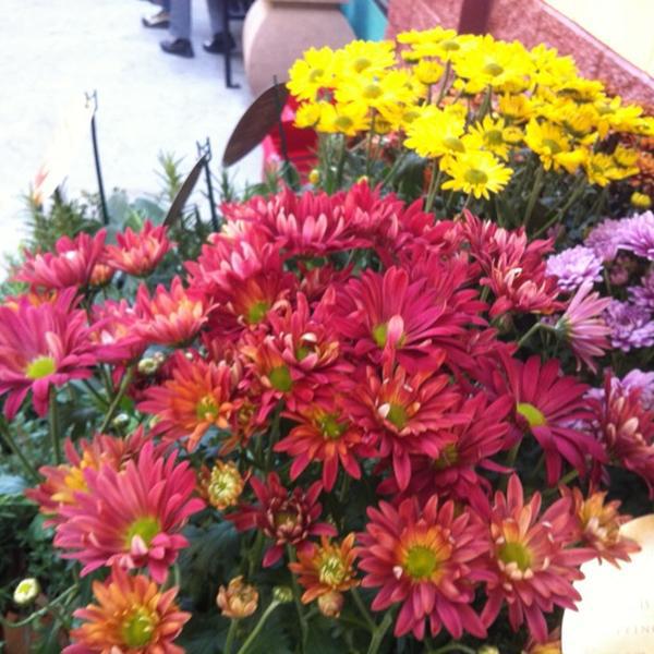 Photo taken at Trader Joe's by Ne C. on 11/13/2012