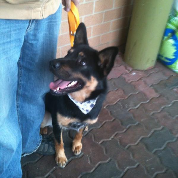 Photo taken at Whole Foods Market by Annette S. on 4/27/2012