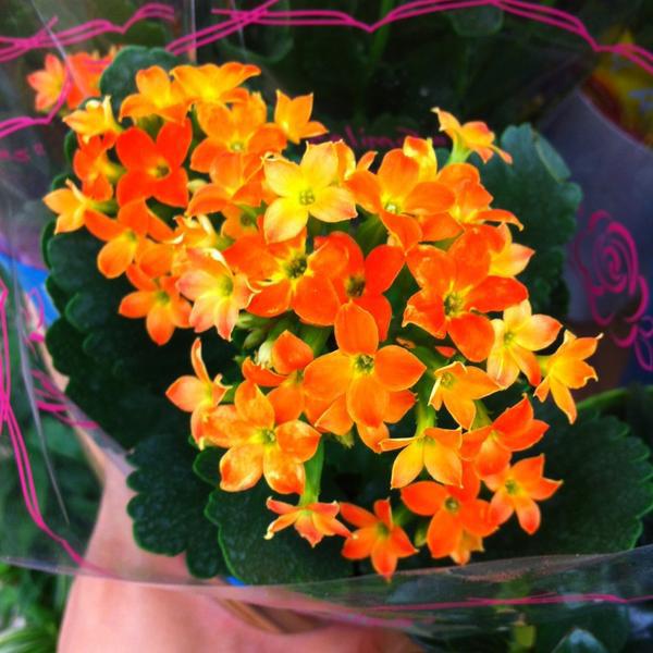 Photo taken at 이마트 / E-Mart by Sohee K. on 7/6/2013-大田市东区1689易买得超市 Photo taken at 이마트 / E-Mart by Sohee K. on 7/6/2013