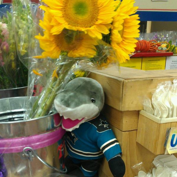 Photo taken at Trader Joe's by Rob. A. on 6/25/2013