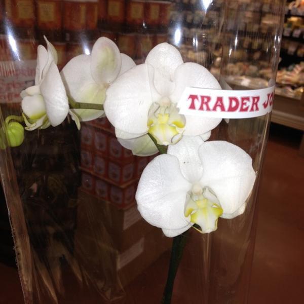 Photo taken at Trader Joe's by Melissa D. on 10/10/2012