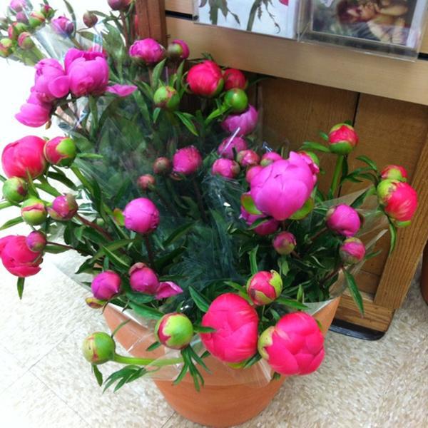 Photo taken at Trader Joe's by Etsuwo I. on 5/24/2012