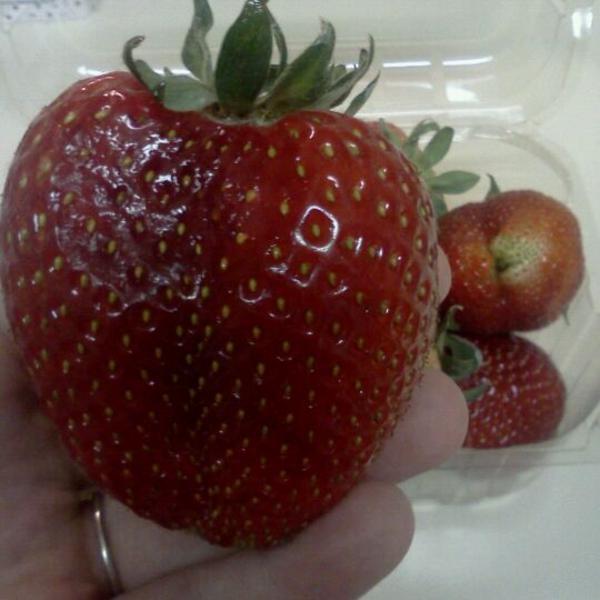 Photo taken at Publix by Beth L. on 5/28/2012