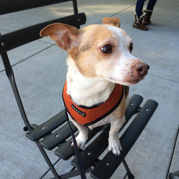 Photo taken at Whole Foods Market by Robert R. on 2/21/2015-美国加利福尼亚州圣荷西阿拉米达777 Photo taken at Whole Foods Market by Robert R. on 2/21/2015